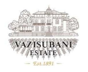 VAZISUBANI ESTATE LLC
